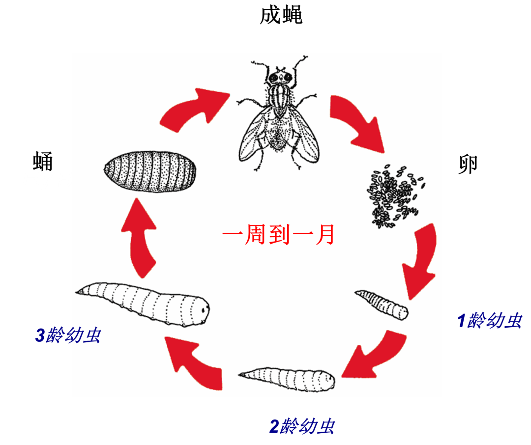 微信圖片_20221213151819.png